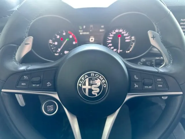 Alfa Romeo Stelvio Stelvio 2.2 T.diesel 210CV AT8 Q4 Lusso - Foto 14