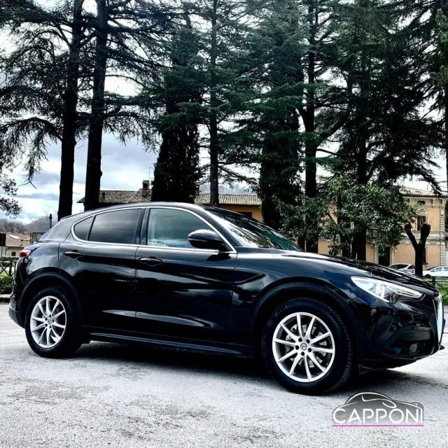 Alfa Romeo Stelvio Stelvio 2.2 T.diesel 180 CV AT8 Q4 Bus. - Foto 1