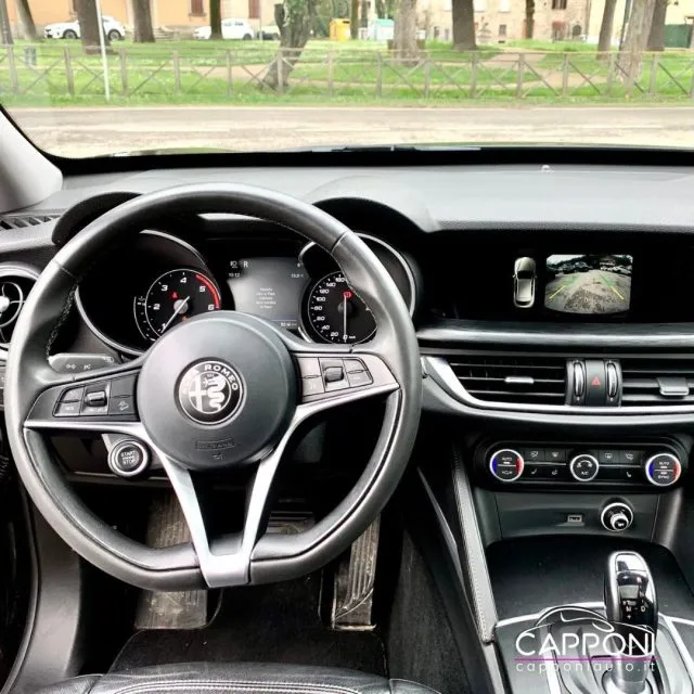 Alfa Romeo Stelvio Stelvio 2.2 T.diesel 180 CV AT8 Q4 Bus. - Foto 9