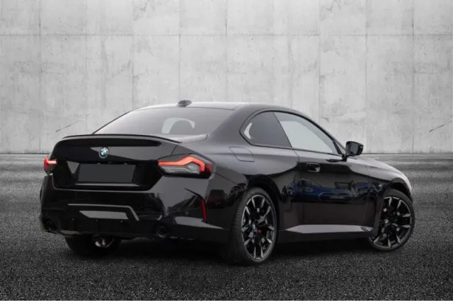 Bmw 230 - dettaglio 2