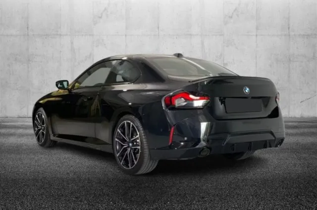 Bmw 230 - dettaglio 2