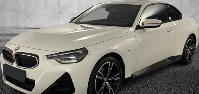 Bmw 218 - dettaglio 2