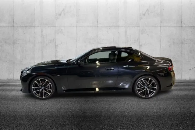 Bmw 220 - dettaglio 6