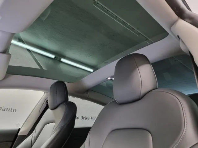 Tesla Model 3 Long Range Dual Motor AWD - Foto 13