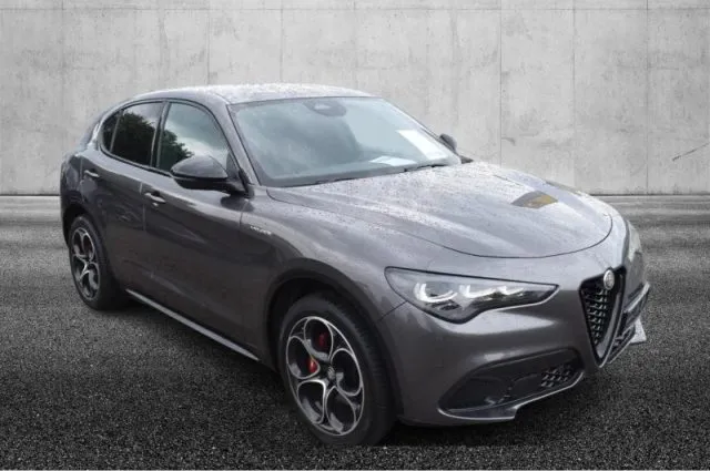 Alfa Romeo Stelvio Stelvio 2.0 Turbo 280 CV AT8 Q4 Veloce - Foto 2