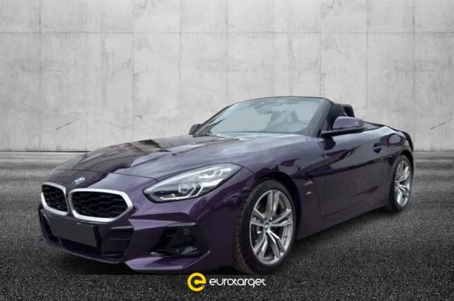 Bmw z4 - dettaglio 1