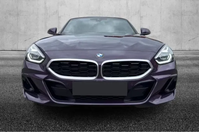Bmw z4 - dettaglio 5