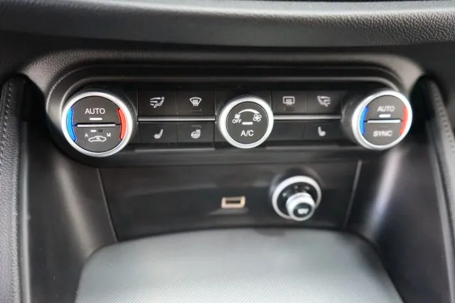 Alfa Romeo Stelvio Stelvio 2.2 T.diesel 210 CV AT8 Q4 Bus. - Foto 10