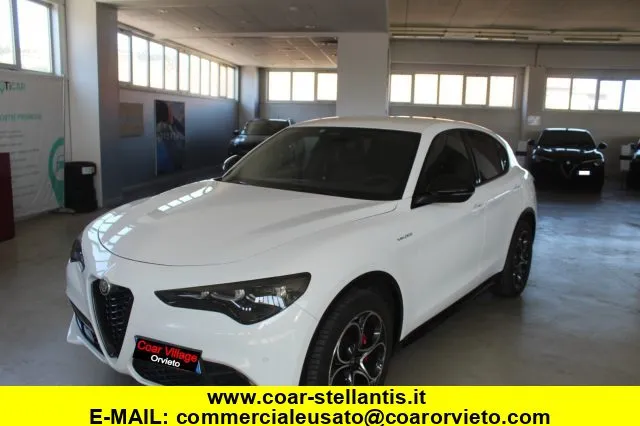 Alfa Romeo Stelvio Stelvio 2.2 T.diesel 210CV AT8 Q4 Veloce - Foto 1