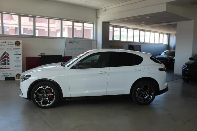 Alfa Romeo Stelvio Stelvio 2.2 T.diesel 210CV AT8 Q4 Veloce - Foto 3