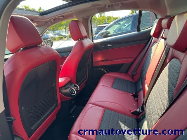 Alfa Romeo Stelvio Stelvio 2.2 T.diesel 190CV AT8 RWD Exec. - Foto 6