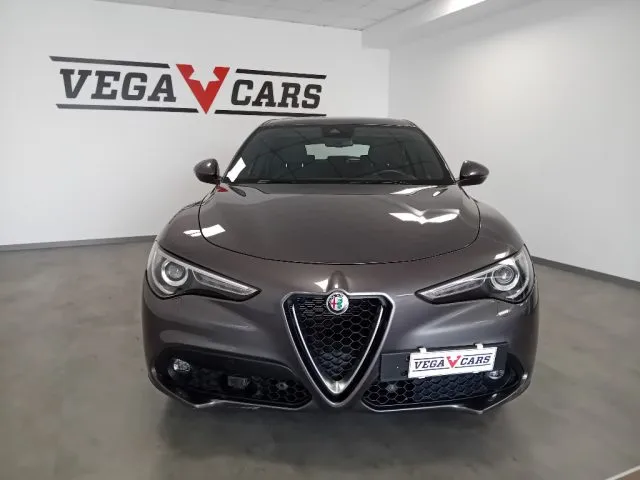Alfa Romeo Stelvio Stelvio 2.2 T.d. 190 CV AT8 Q4 Sup. Bus. - Foto 2