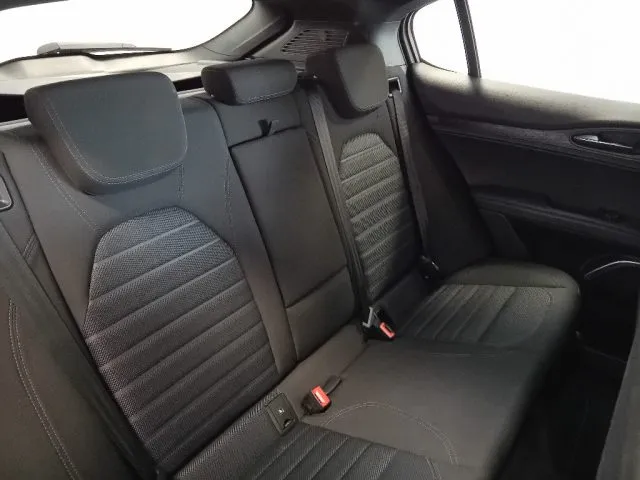 Alfa Romeo Stelvio Stelvio 2.2 T.d. 190 CV AT8 Q4 Sup. Bus. - Foto 13