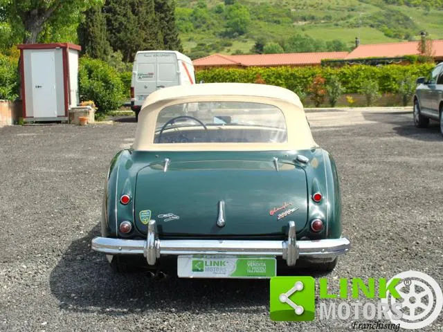 Austin Healey MK II 3000 Cabrio BJ7 / Targata TO - Foto 6