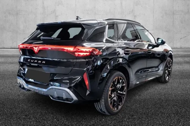 Cupra terramar - dettaglio 3