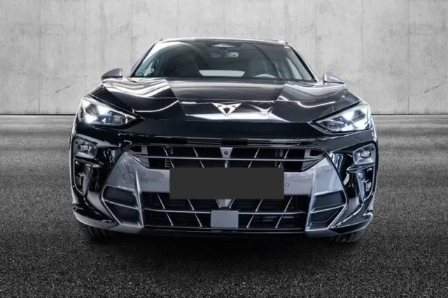 Cupra terramar - dettaglio 7