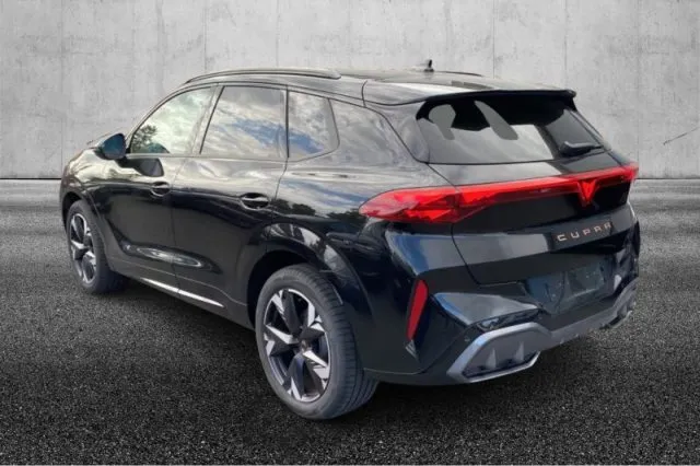 Cupra terramar - dettaglio 3