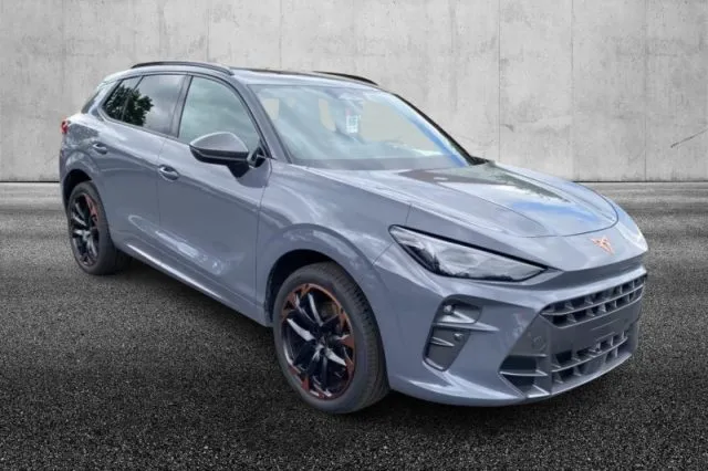 Cupra terramar - dettaglio 2