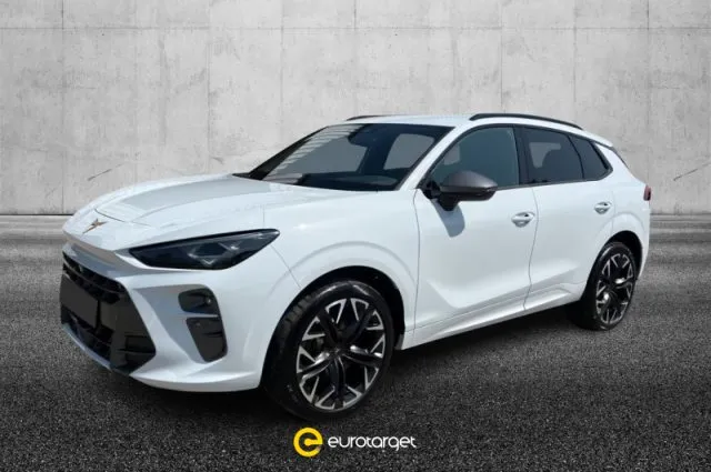 Cupra terramar - dettaglio 1