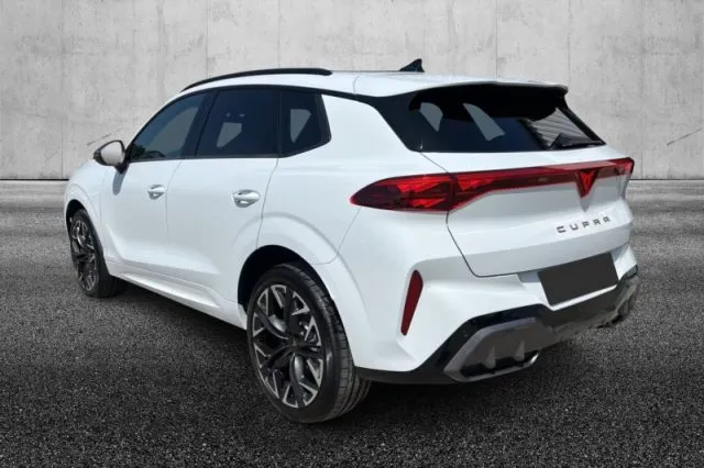 Cupra terramar - dettaglio 2