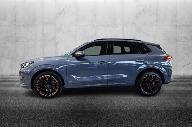 Cupra terramar - dettaglio 6
