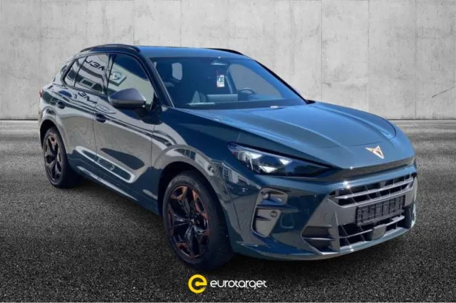 Cupra terramar - dettaglio 1