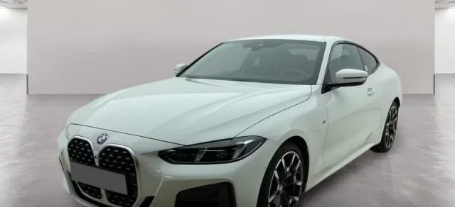 Bmw 420 - dettaglio 2