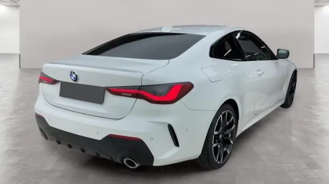 Bmw 420 - dettaglio 6