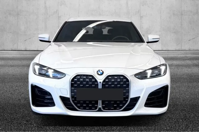 Bmw 420 - dettaglio 7