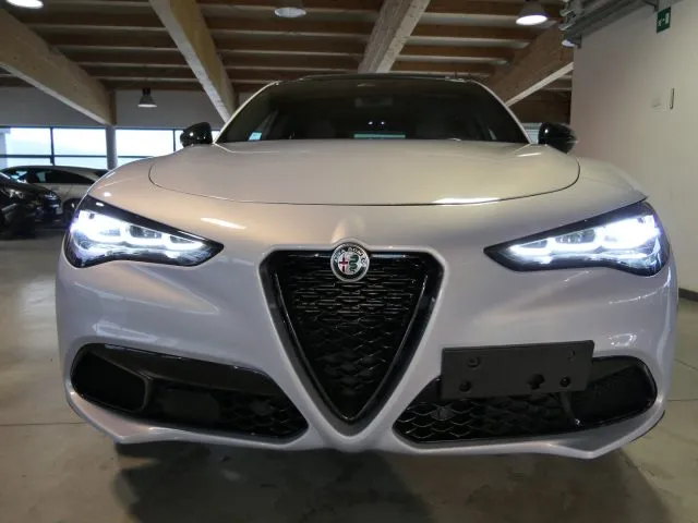 Alfa Romeo Stelvio Stelvio 2.0 Turbo 280 CV AT8 Q4 Veloce - Foto 2