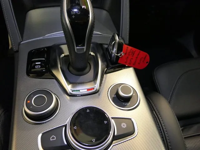 Alfa Romeo Stelvio Stelvio 2.0 Turbo 280 CV AT8 Q4 Veloce - Foto 14