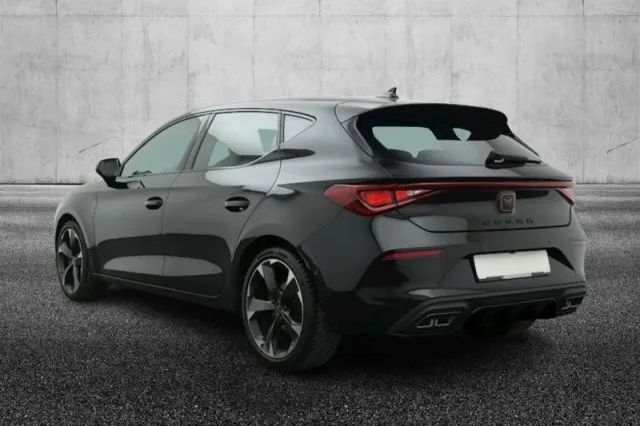 Cupra leon - dettaglio 3