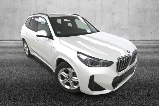 Bmw x1 - dettaglio 2