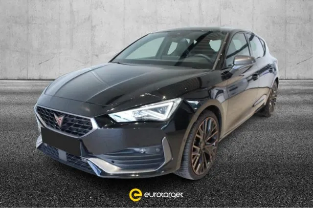 Cupra leon - dettaglio 1