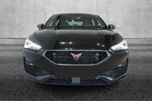 Cupra leon - dettaglio 12