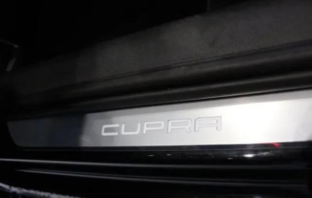 Cupra leon - dettaglio 16
