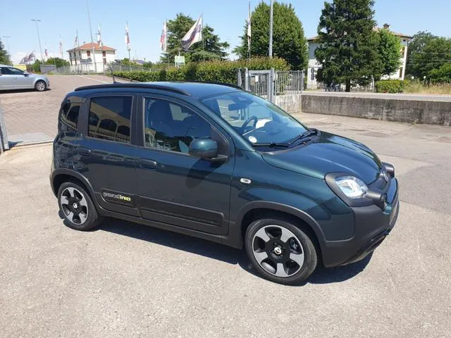 Fiat Panda 1.0 FireFly S&S Hybrid Pandina - Foto 6
